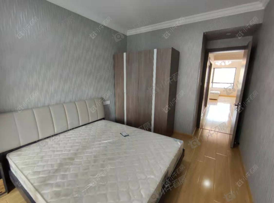 常州金新鼎邦在租房源_小牛看房