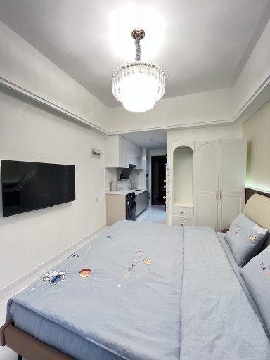 常州龙湖星图在租房源室内图_小牛看房