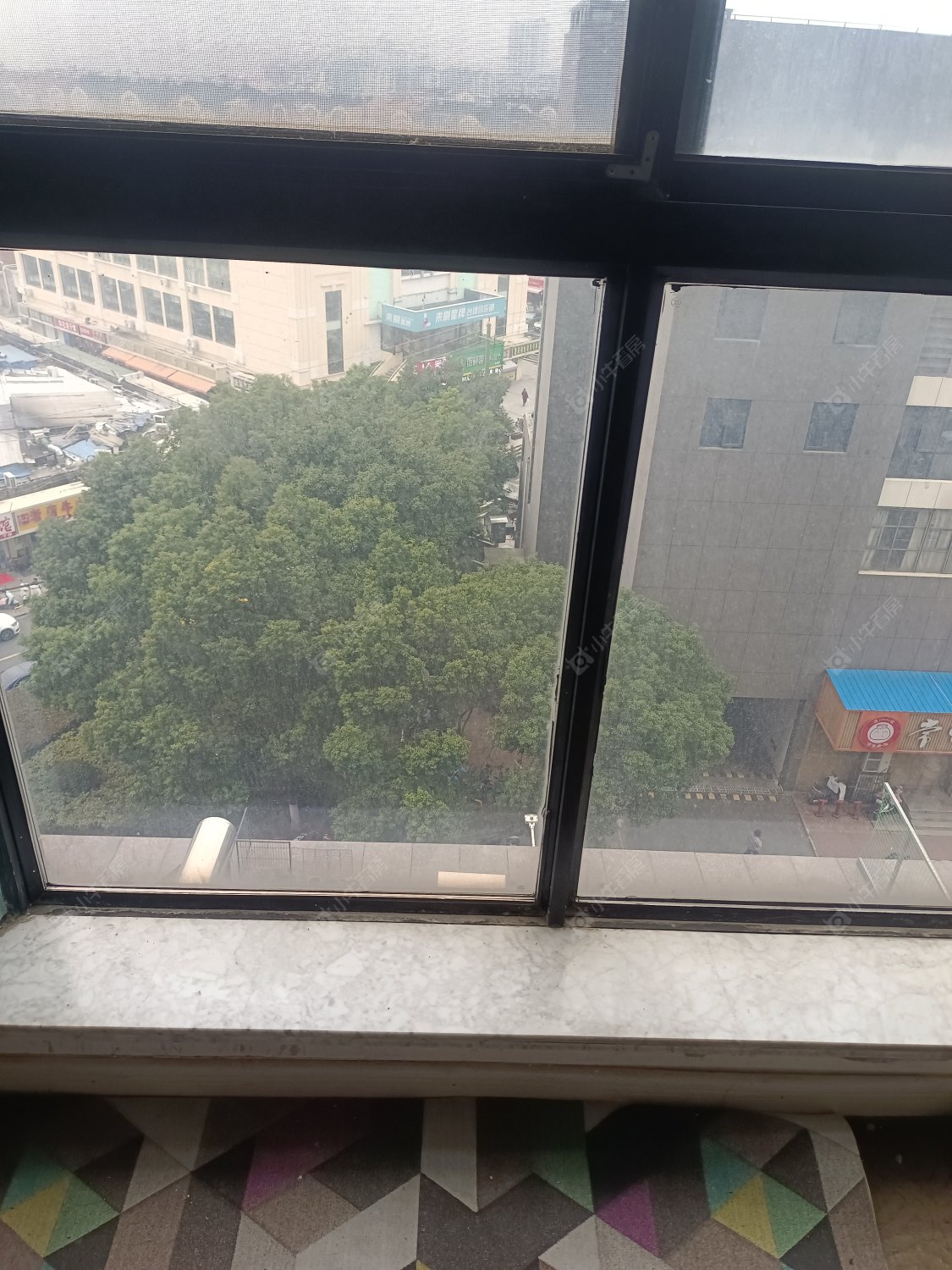 常州港龙尚层在租房源室内图_小牛看房