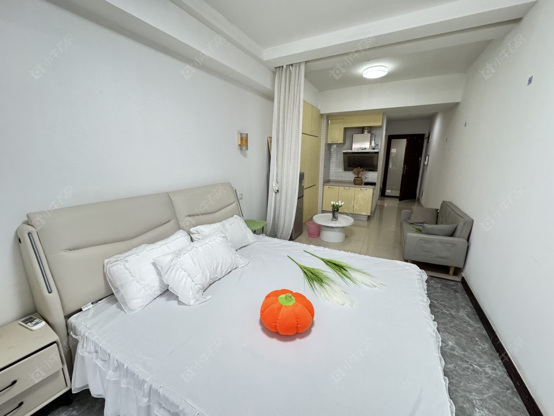 常州新天地不夜城在租房源室内图_小牛看房