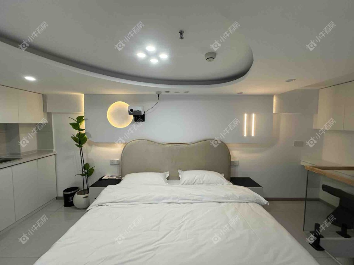 常州山外有山在租房源室内图_小牛看房