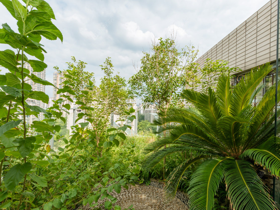 常州金色新城西区在售二手房源室内图_小牛看房