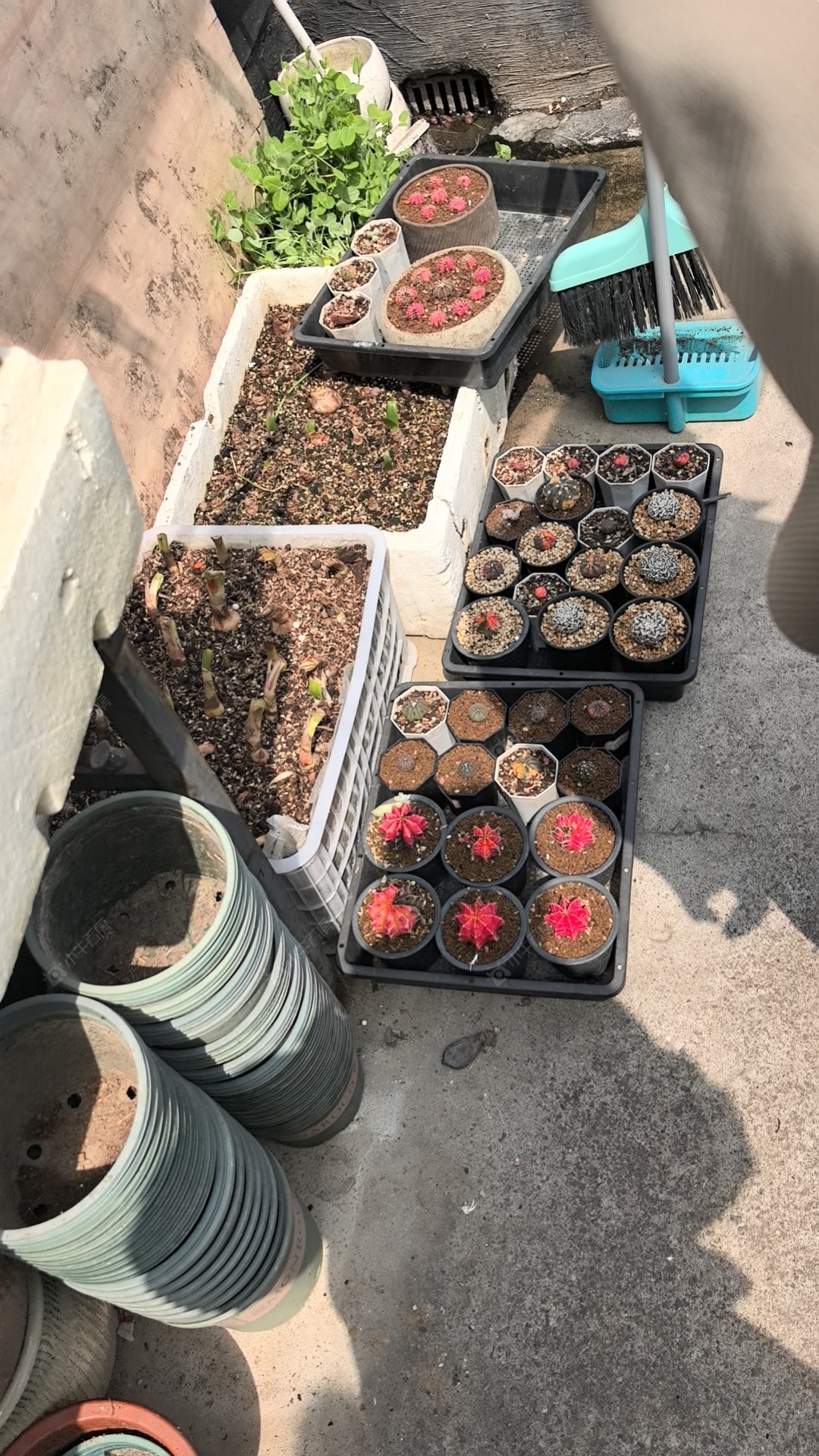 常州腾龙苑东区在租房源_小牛看房