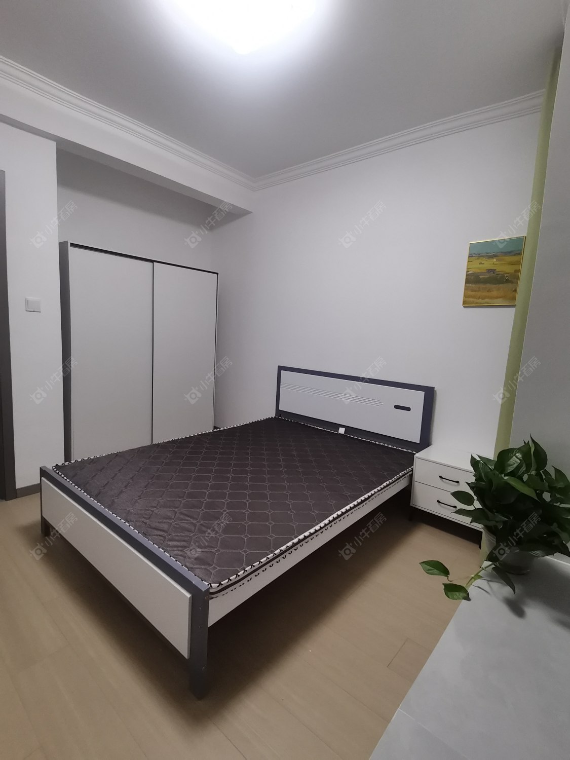 常州龙控公园道在租房源_小牛看房