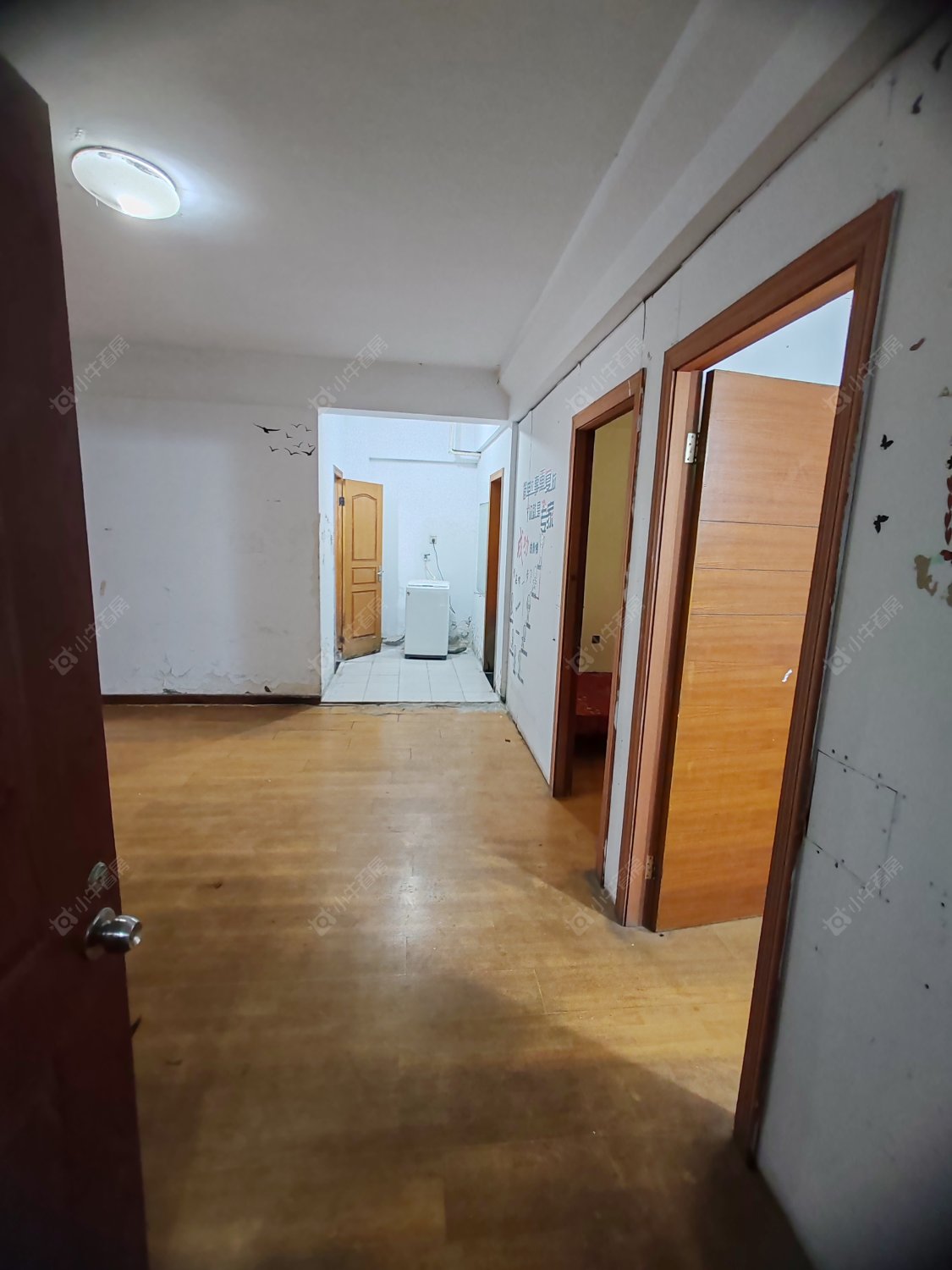 常州关河西路在租房源_小牛看房