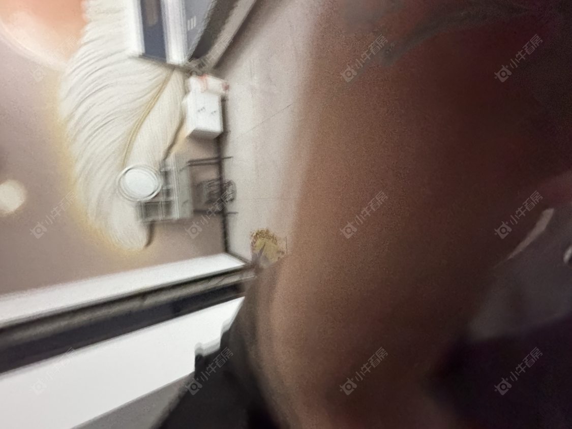 常州海伦小屋在租房源室内图_小牛看房