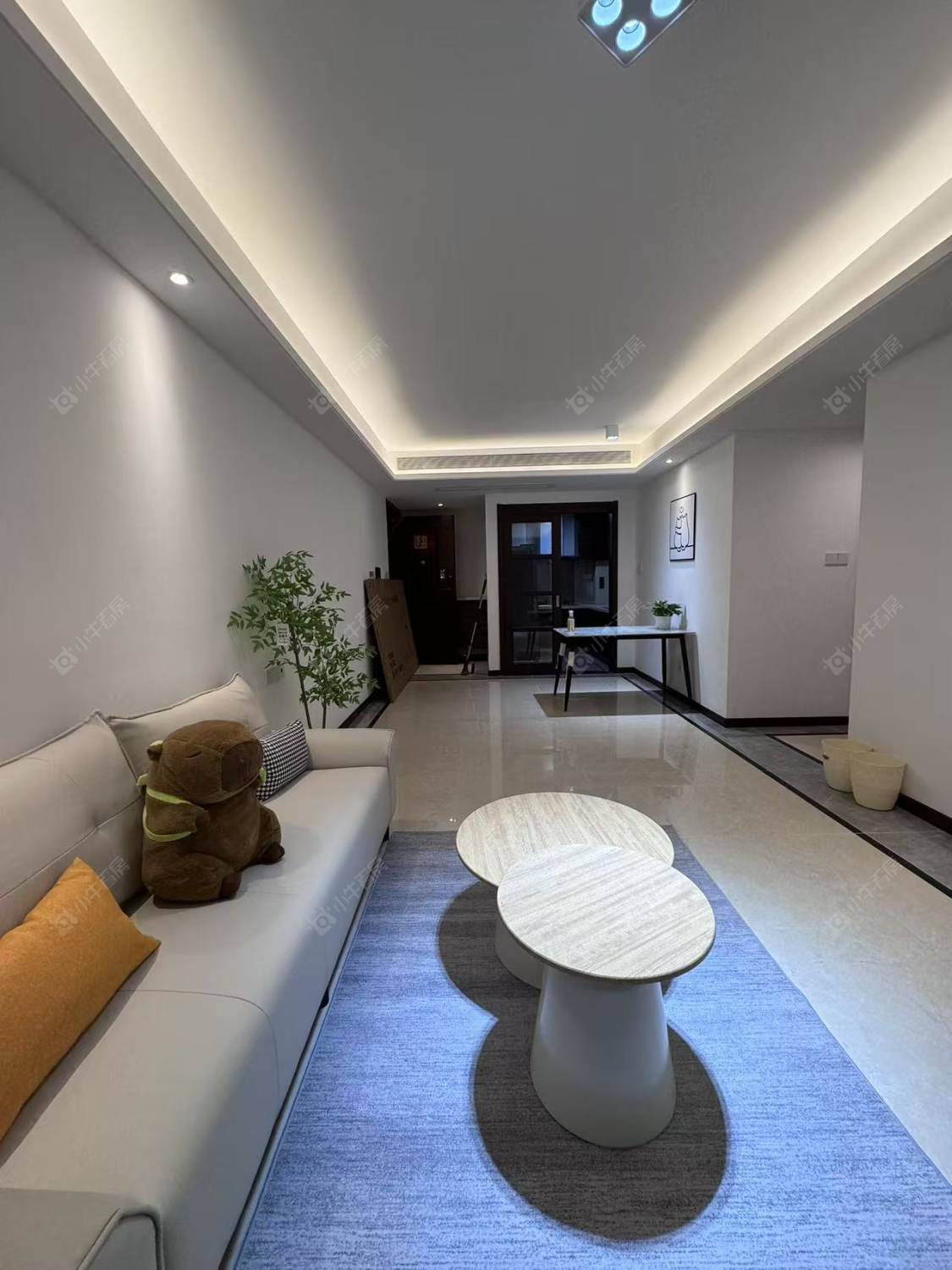 常州蓝光晶曜在租房源室内图_小牛看房