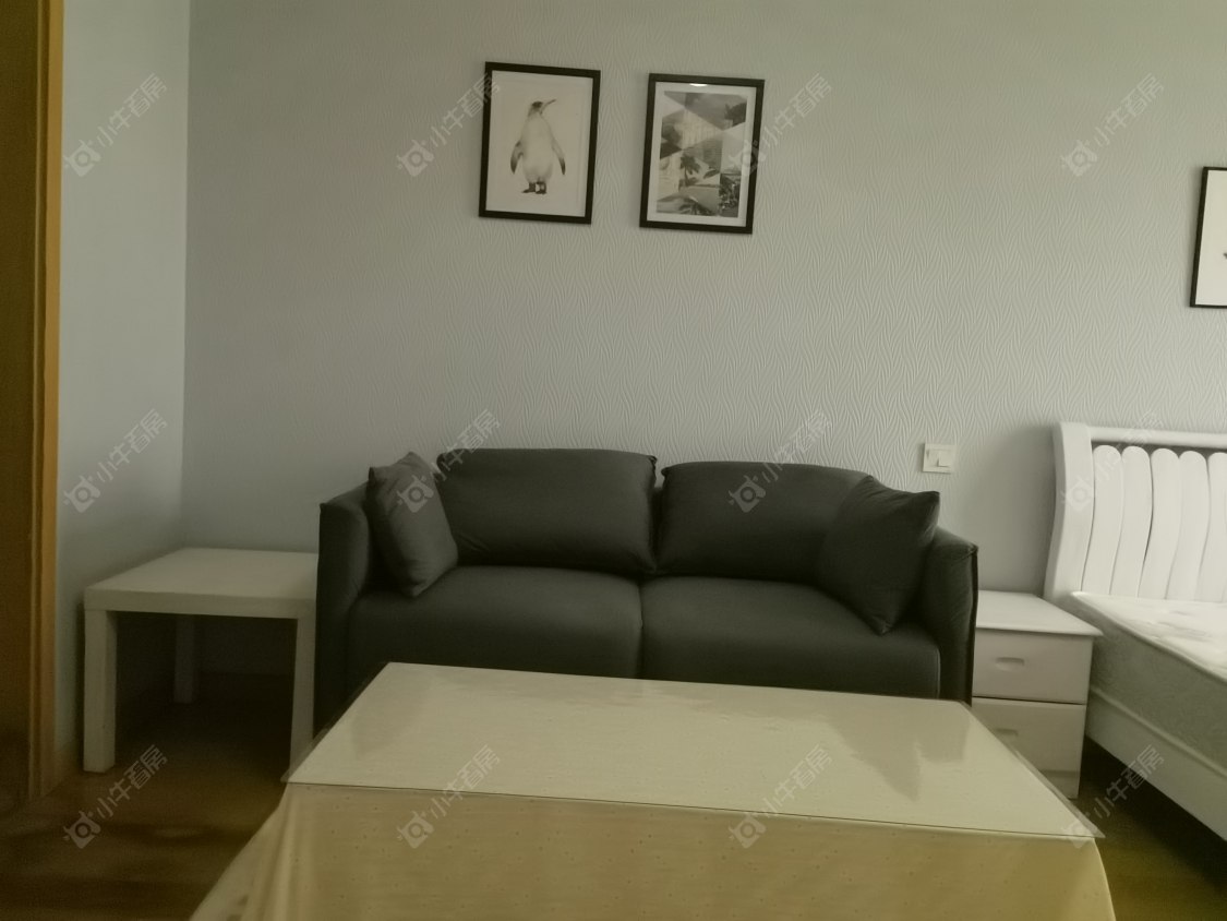 常州莱蒙双子星座公寓在租房源_小牛看房