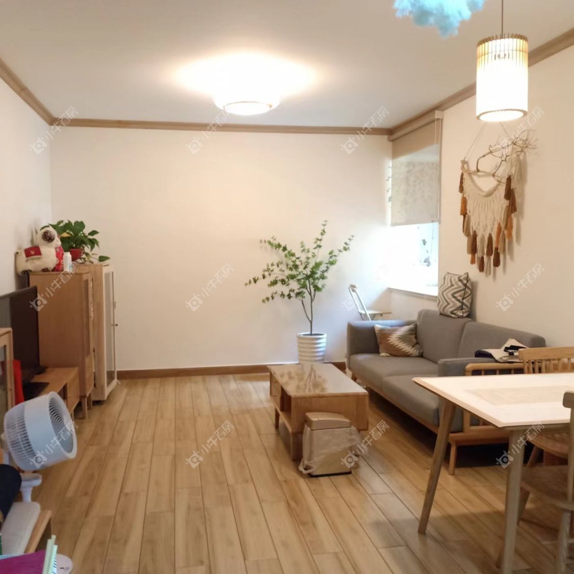 常州凤凰名城租房_凤凰名城2室2厅房源出租