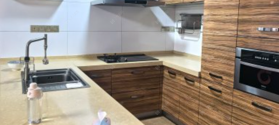 常州九洲新世界花苑在租房源室内图_小牛看房