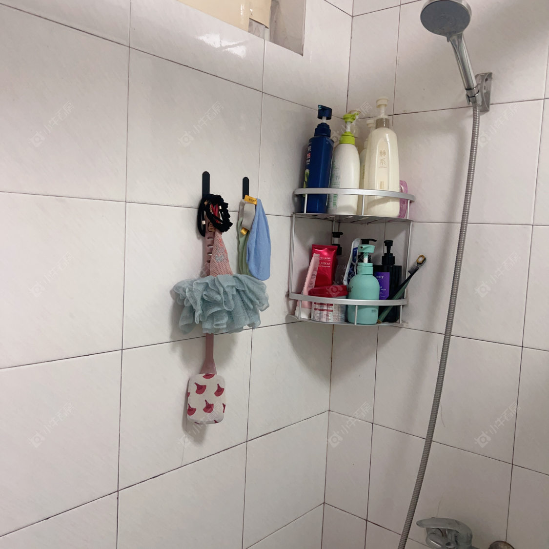 常州锦阳花苑在租房源室内图_小牛看房