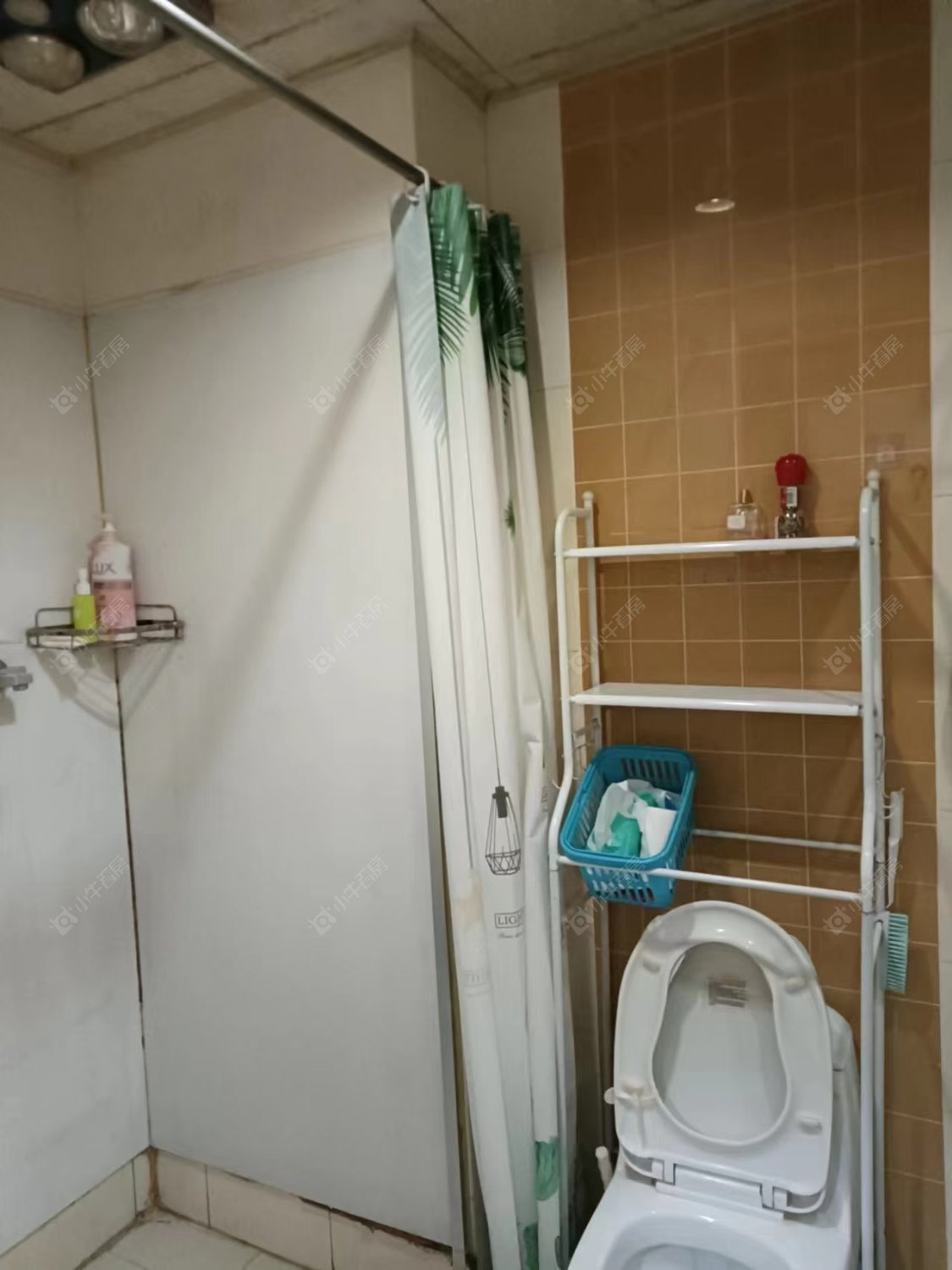 常州蓝天花园东区在租房源室内图_小牛看房