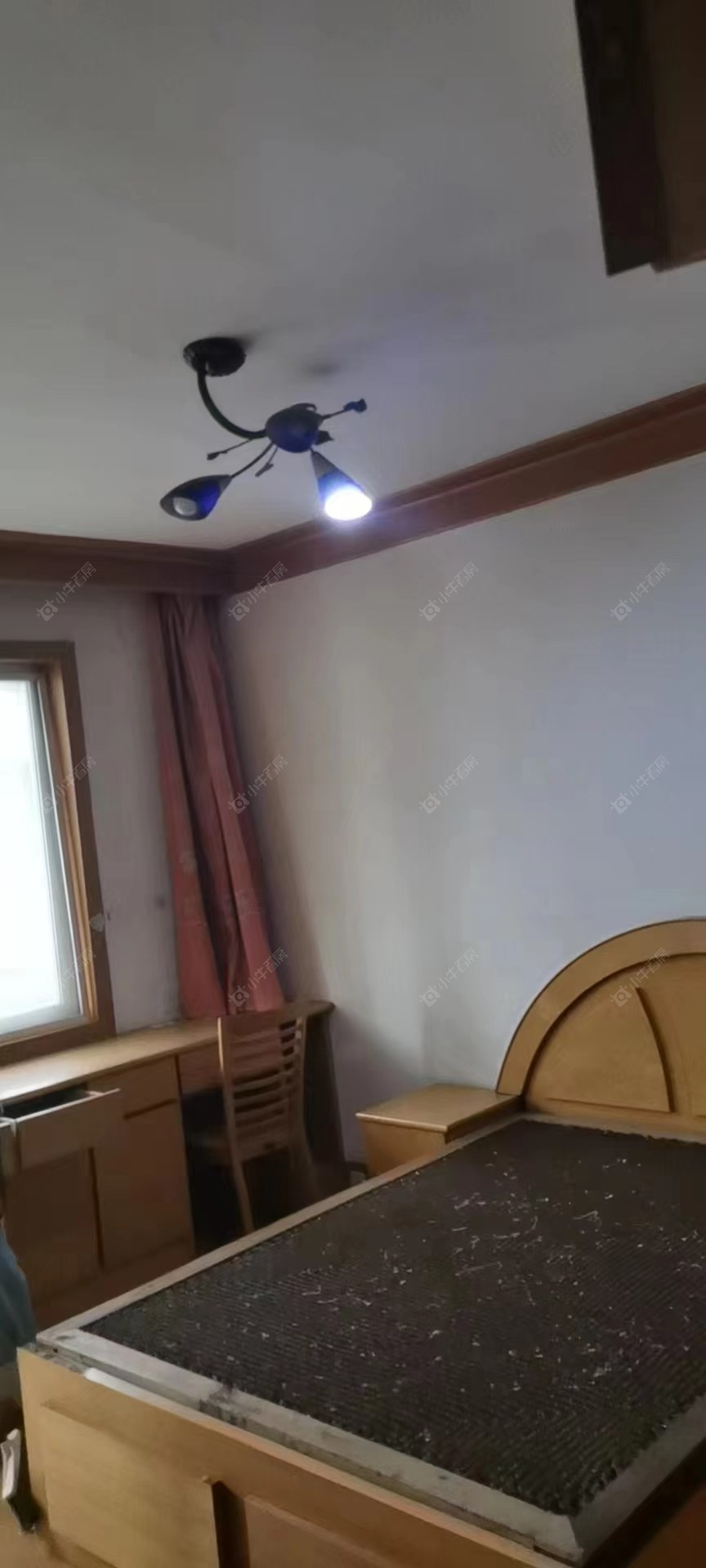 常州桃园新村租房房源封面图