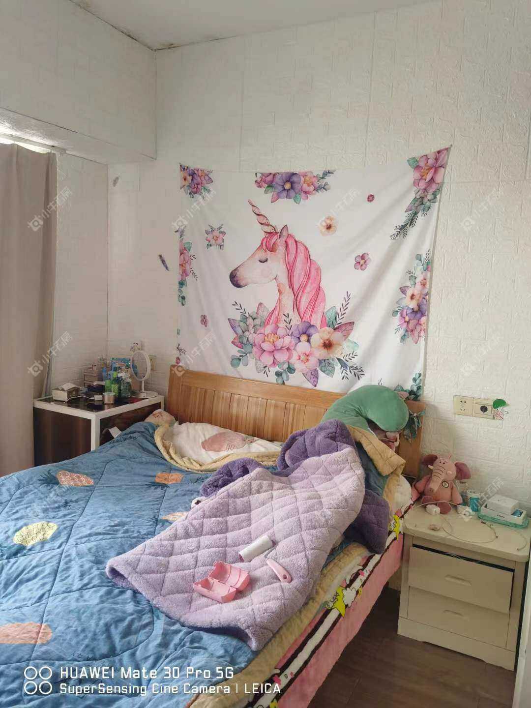 东方国际公寓房源 常州东方国际公寓在租房源_小牛看房