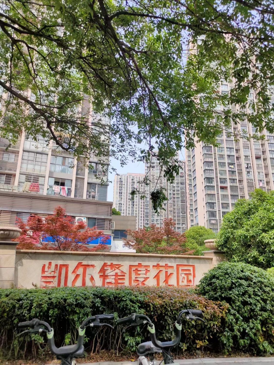 常州凯尔锋度租房_凯尔锋度3室2厅房源出租
