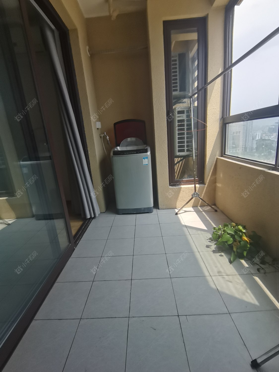 常州晋陵文锦在租房源_小牛看房