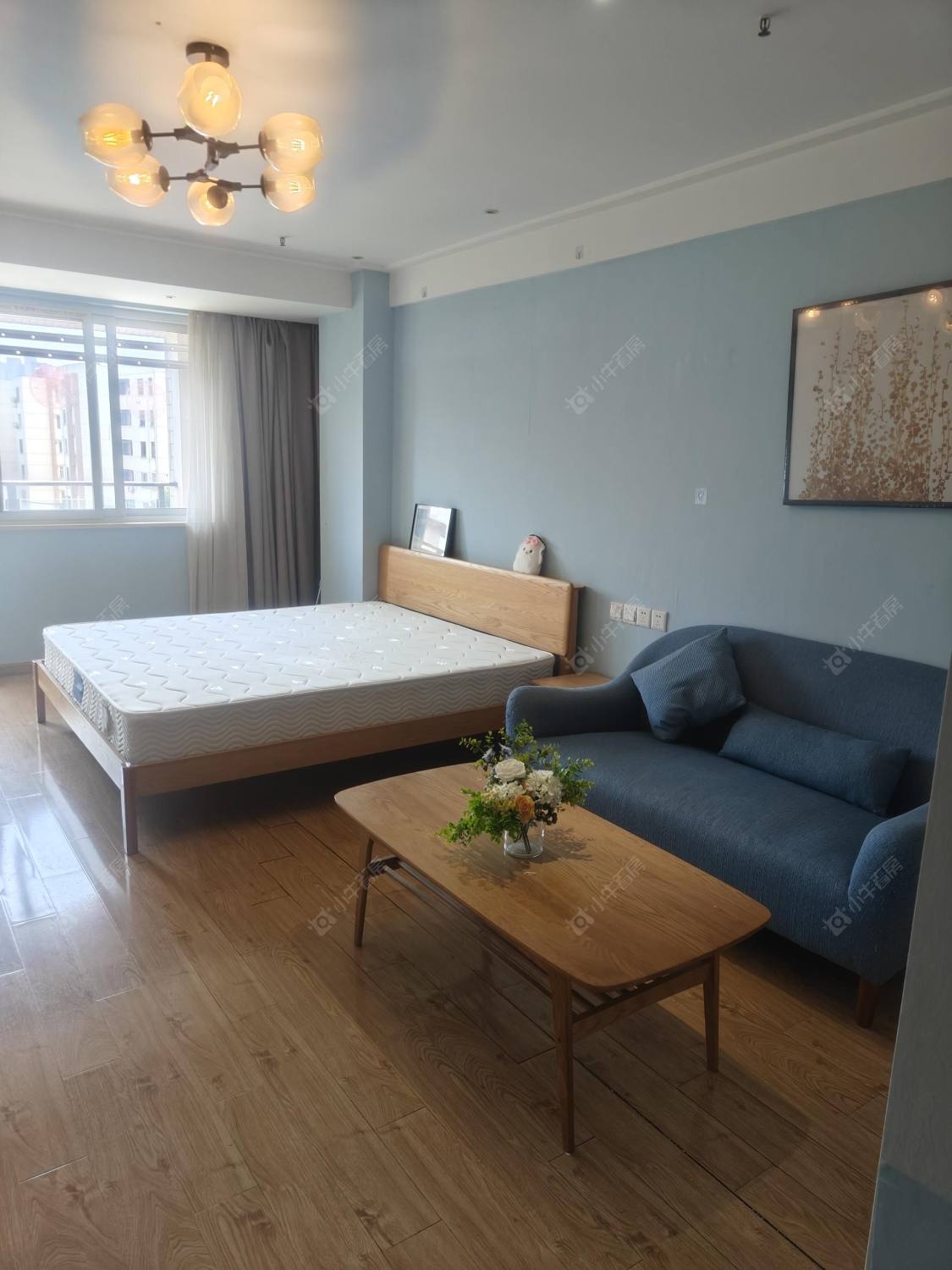 常州公园人家1室1厅在租房源出租