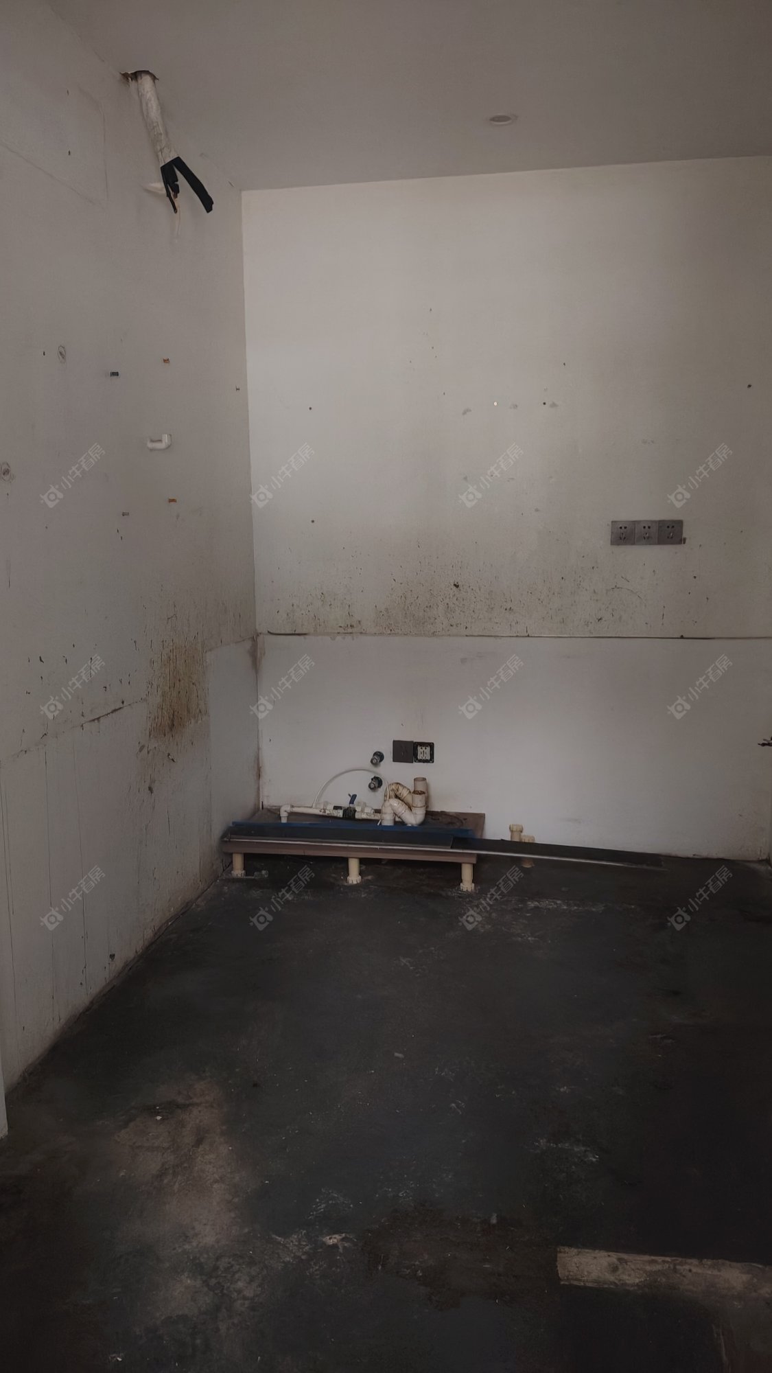 常州保利公园九里在租房源室内图_小牛看房