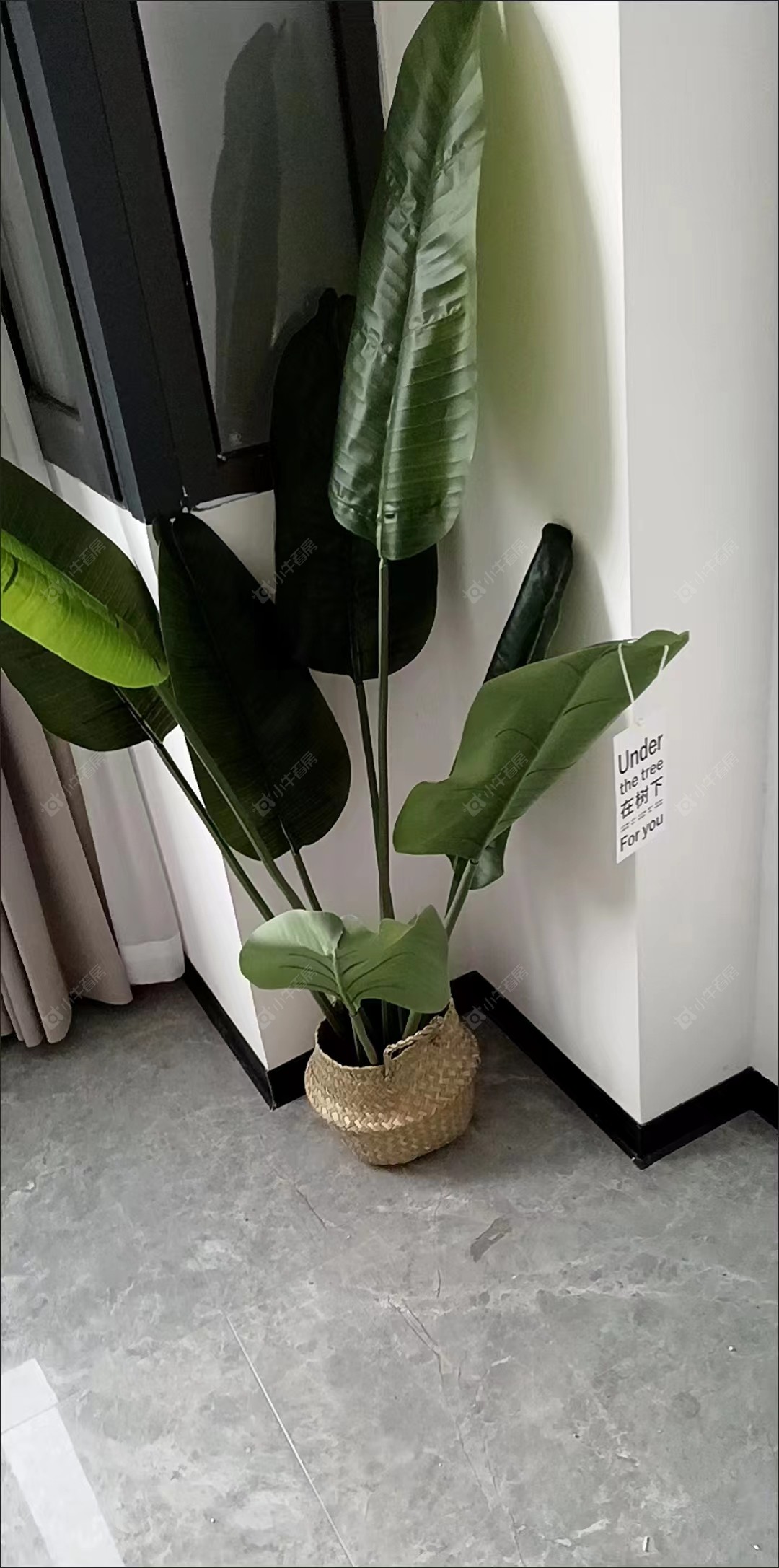 常州芝荟时光在租房源_小牛看房