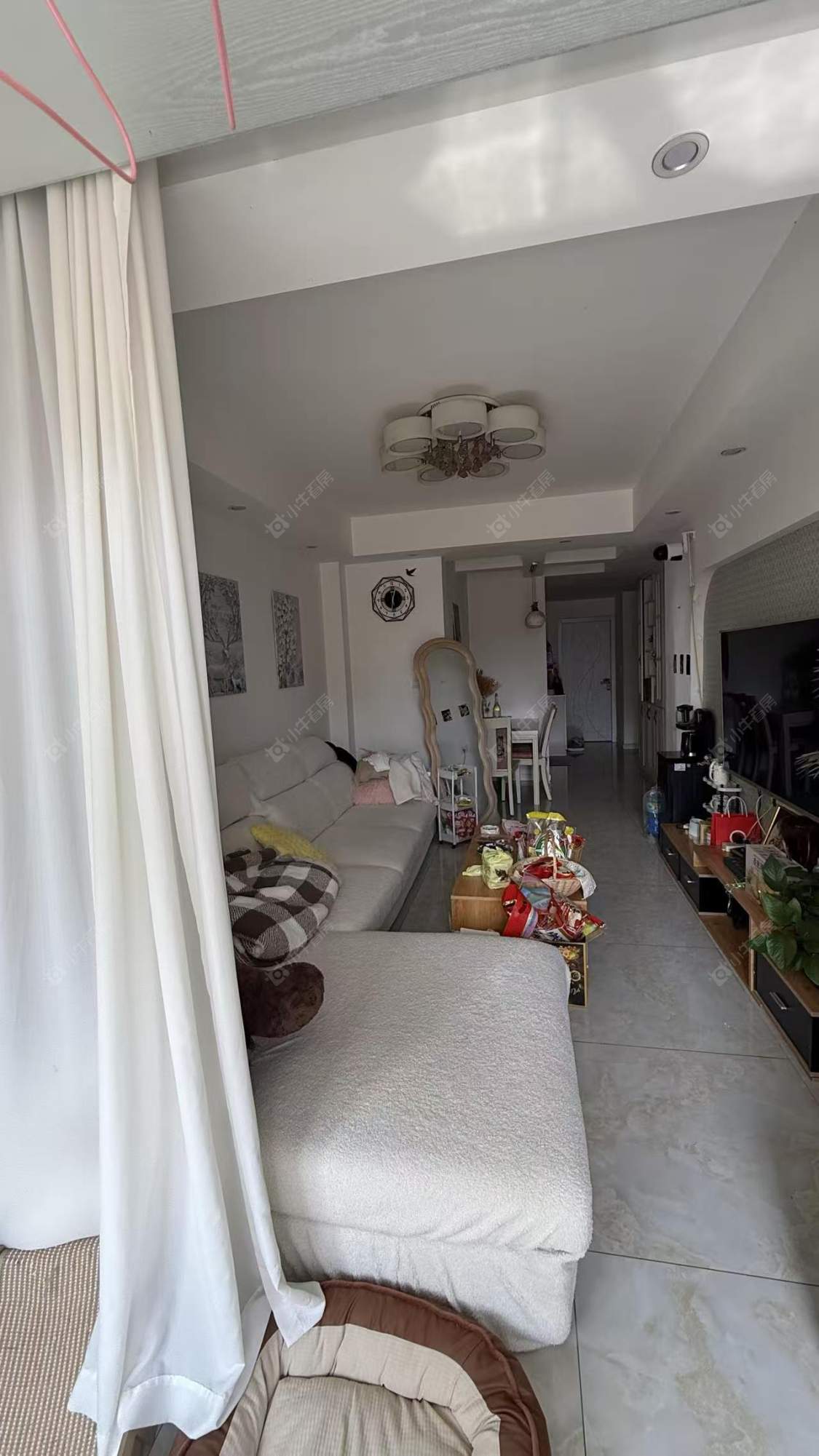 常州祥龙苑在租房源室内图_小牛看房