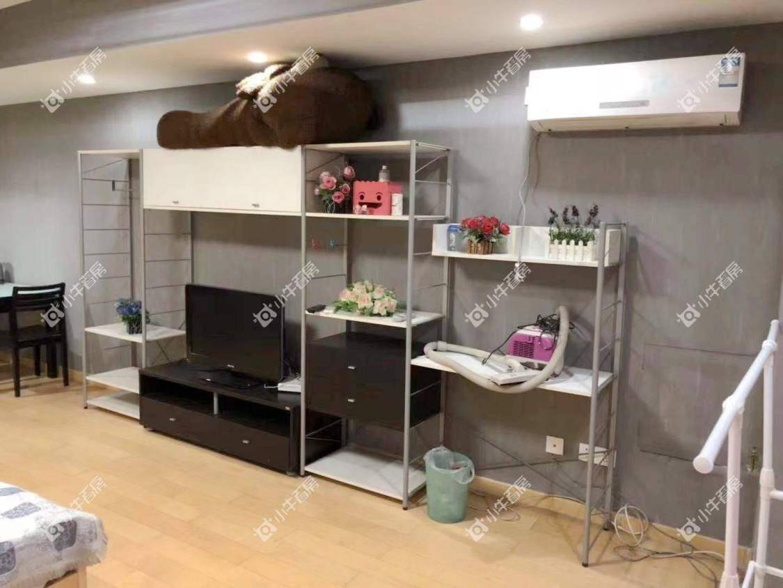 常州莱蒙双子星座公寓在租房源室内图_小牛看房