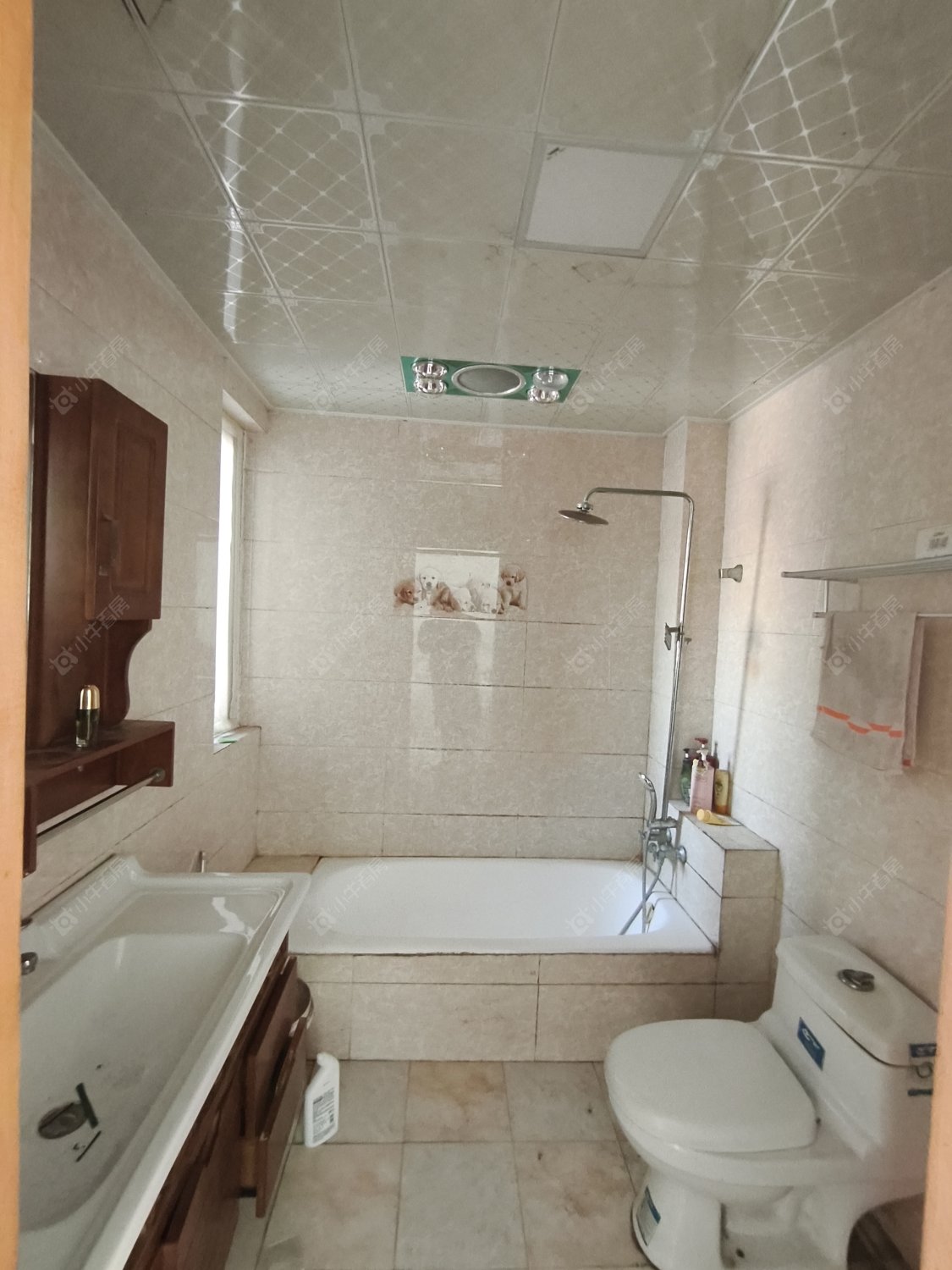 常州青竹苑东区在租房源_小牛看房