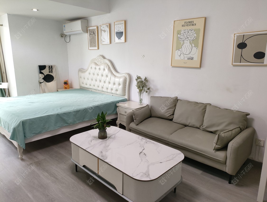 常州莱蒙双子星座公寓1室1厅1卫出租_小牛看房