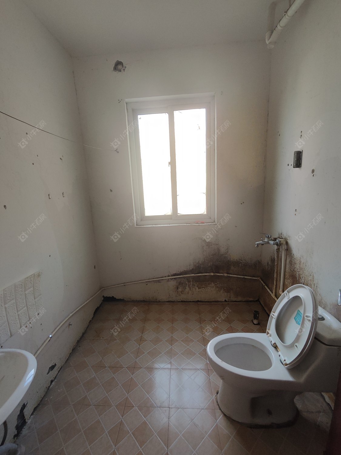 常州百馨西苑三期在租房源_小牛看房