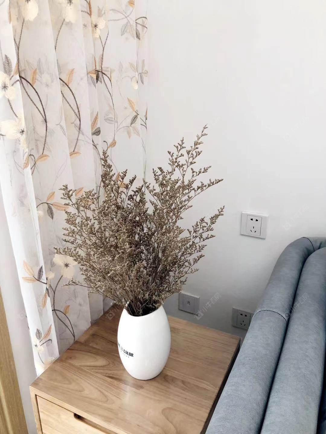 常州上东区在租房源_小牛看房