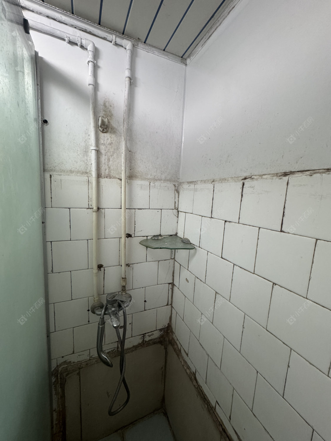 红梅新村房源室内图 常州红梅新村在租房源室内图_小牛看房