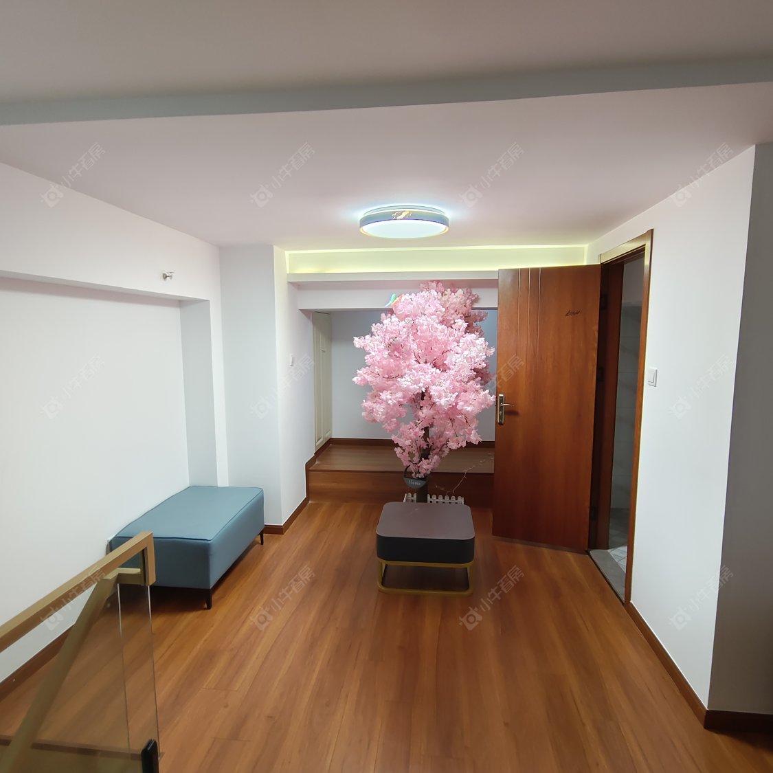 常州芝荟时光租房_小牛看房