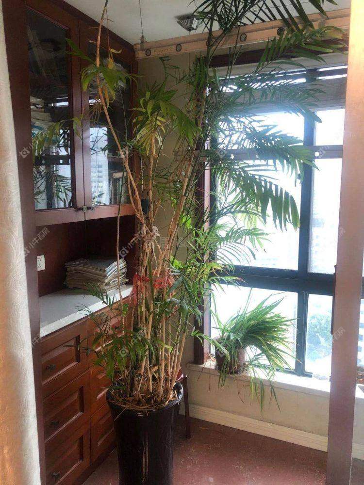 常州铭筑高第在租房源_小牛看房