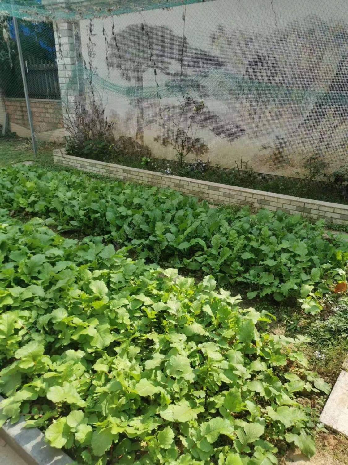 常州阳光花园(新北)别墅区租房_阳光花园(新北)别墅区5室3厅房源出租
