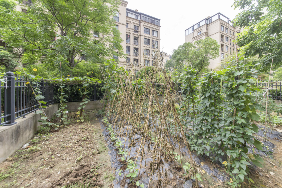 玉兰广场五期房源室内图 常州玉兰广场五期在售二手房源室内图_小牛看房