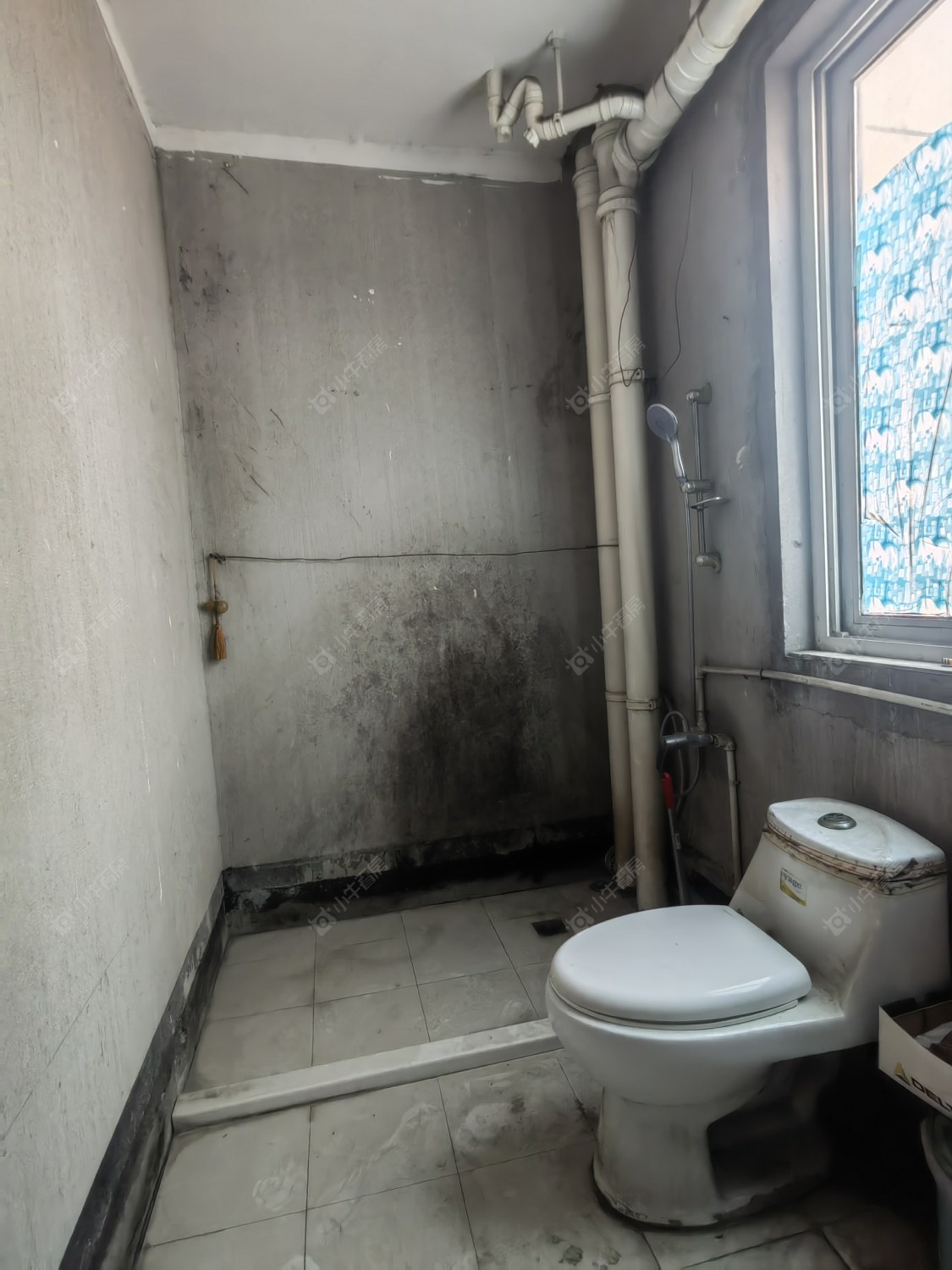 新景花苑二期房源室内图 常州新景花苑二期在租房源室内图_小牛看房