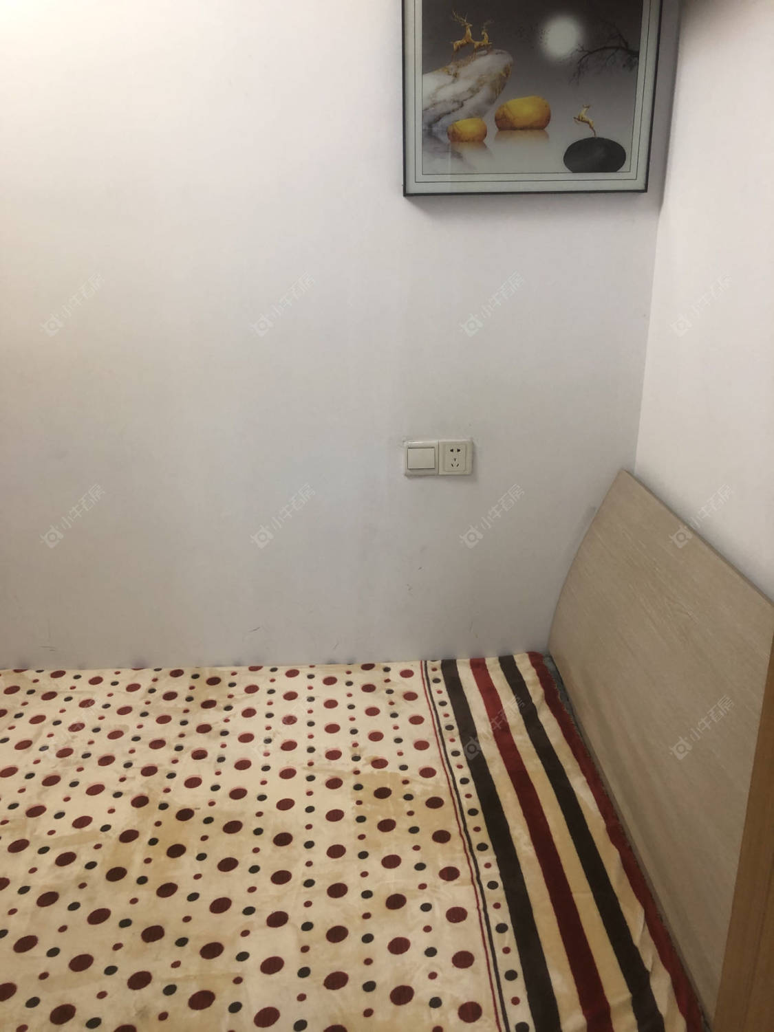 常州清潭鑫苑在租房源_小牛看房