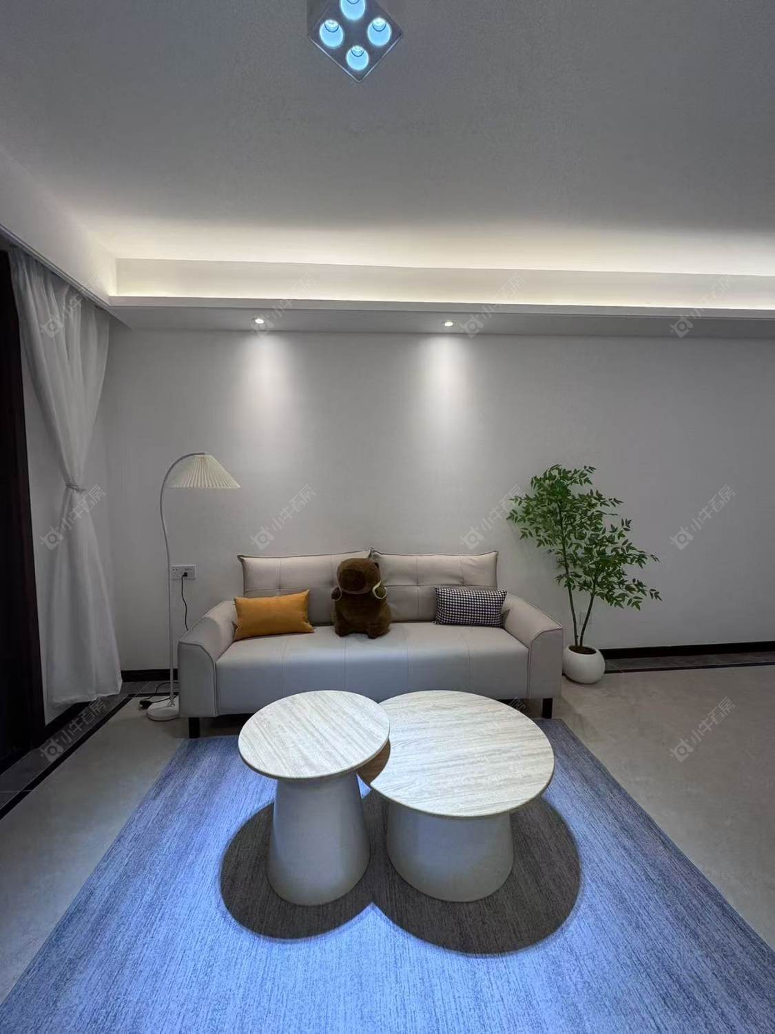 常州蓝光晶曜在租房源室内图_小牛看房