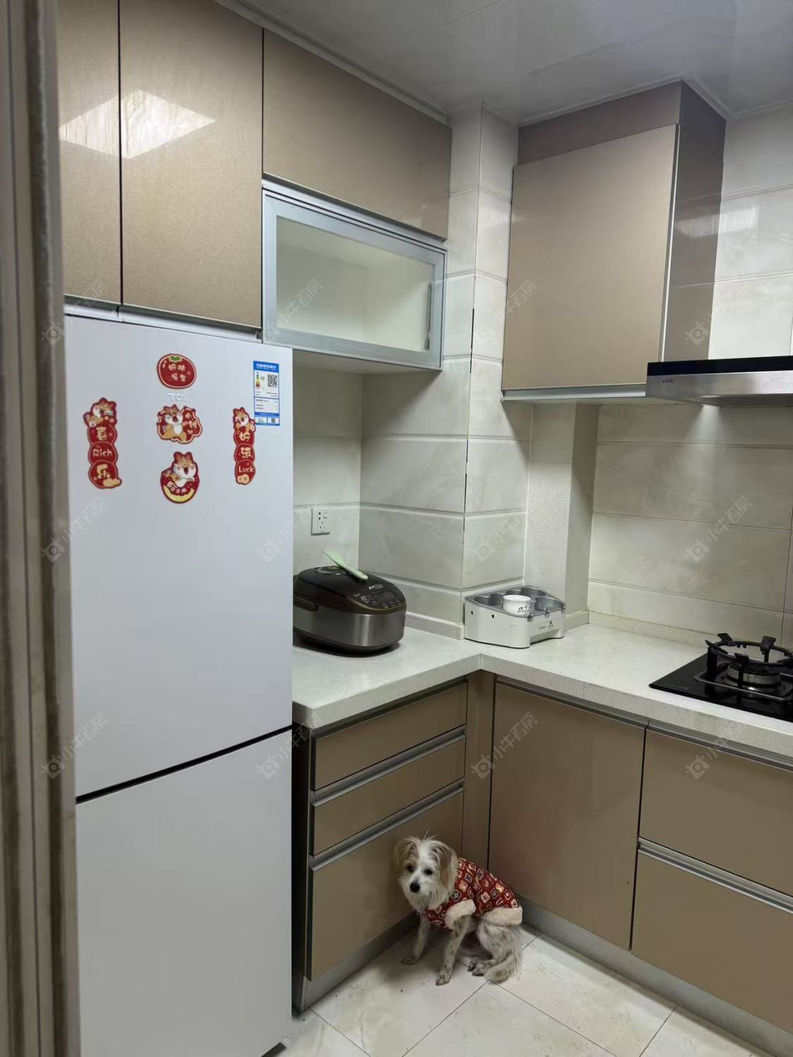 常州九龙仓繁华里在租房源室内图_小牛看房