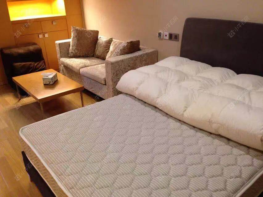 常州新城国际公寓租房_新城国际公寓1室1厅房源出租