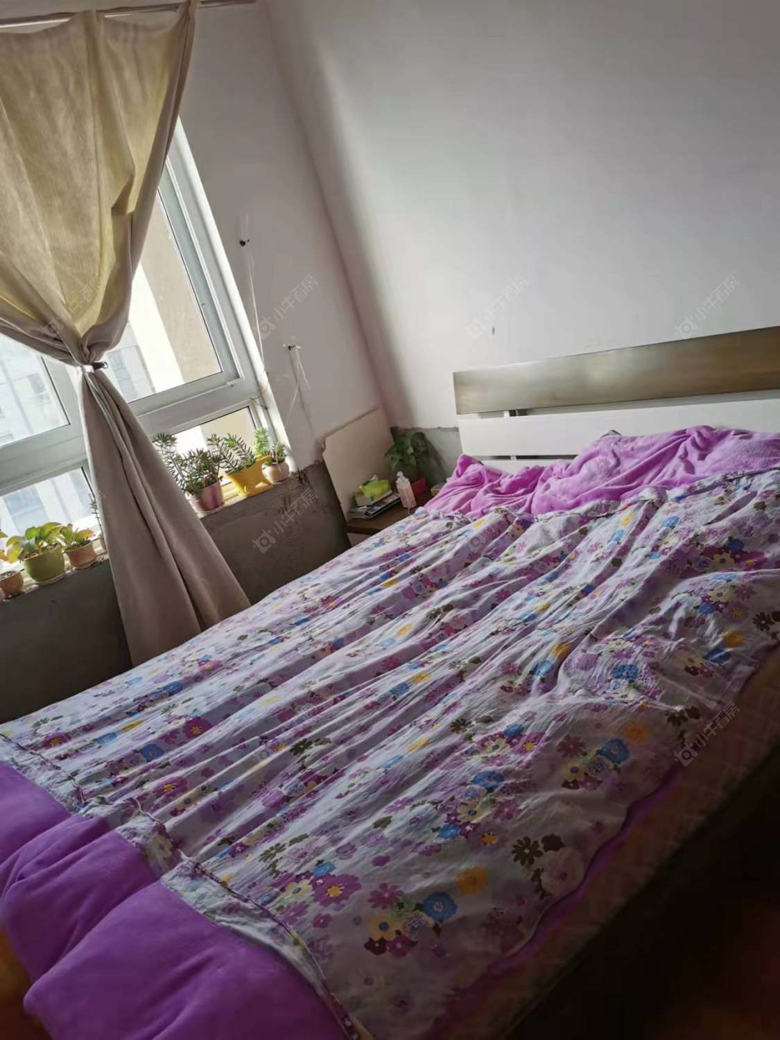 常州绿地世纪城三期在租房源_小牛看房