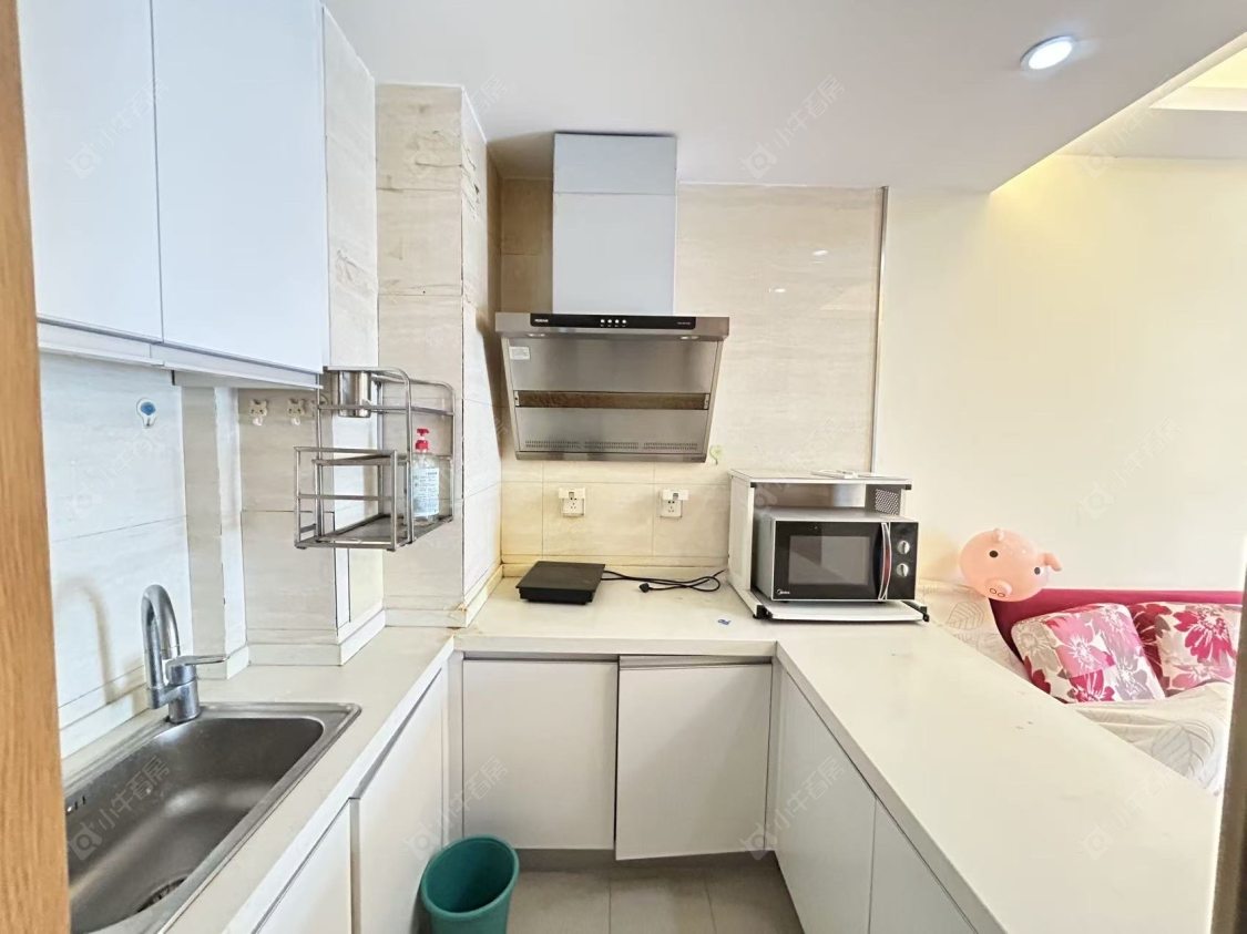 常州莱蒙城领尚在租房源室内图_小牛看房