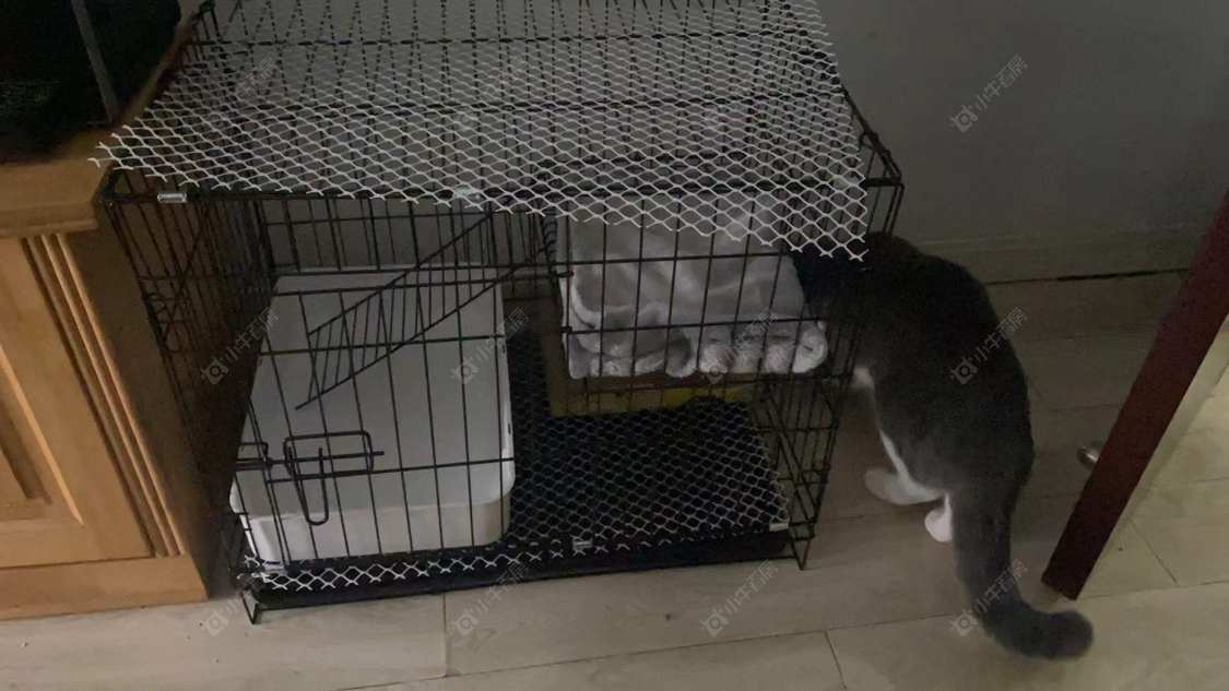 常州丰乐尚都在租房源_小牛看房