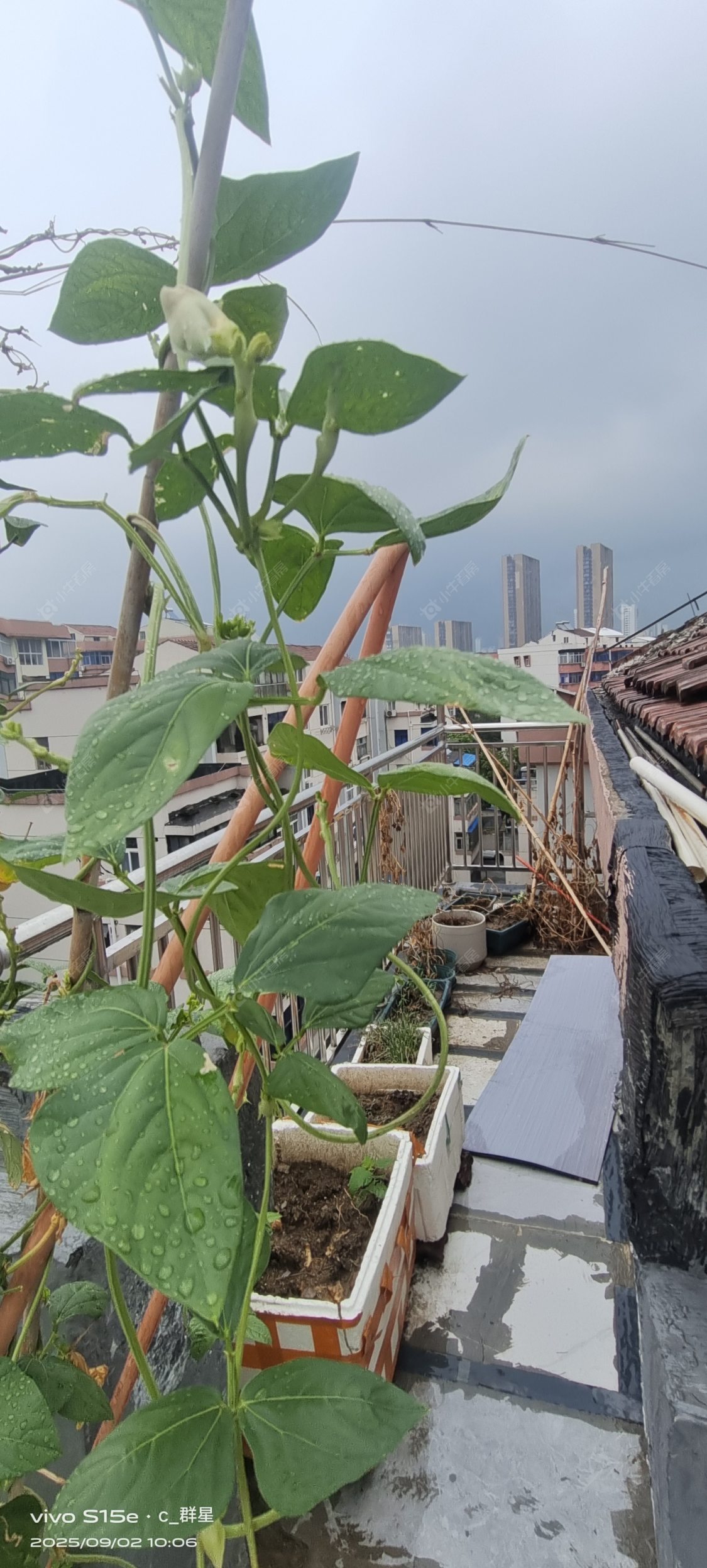 常州红梅新村租房房源封面图