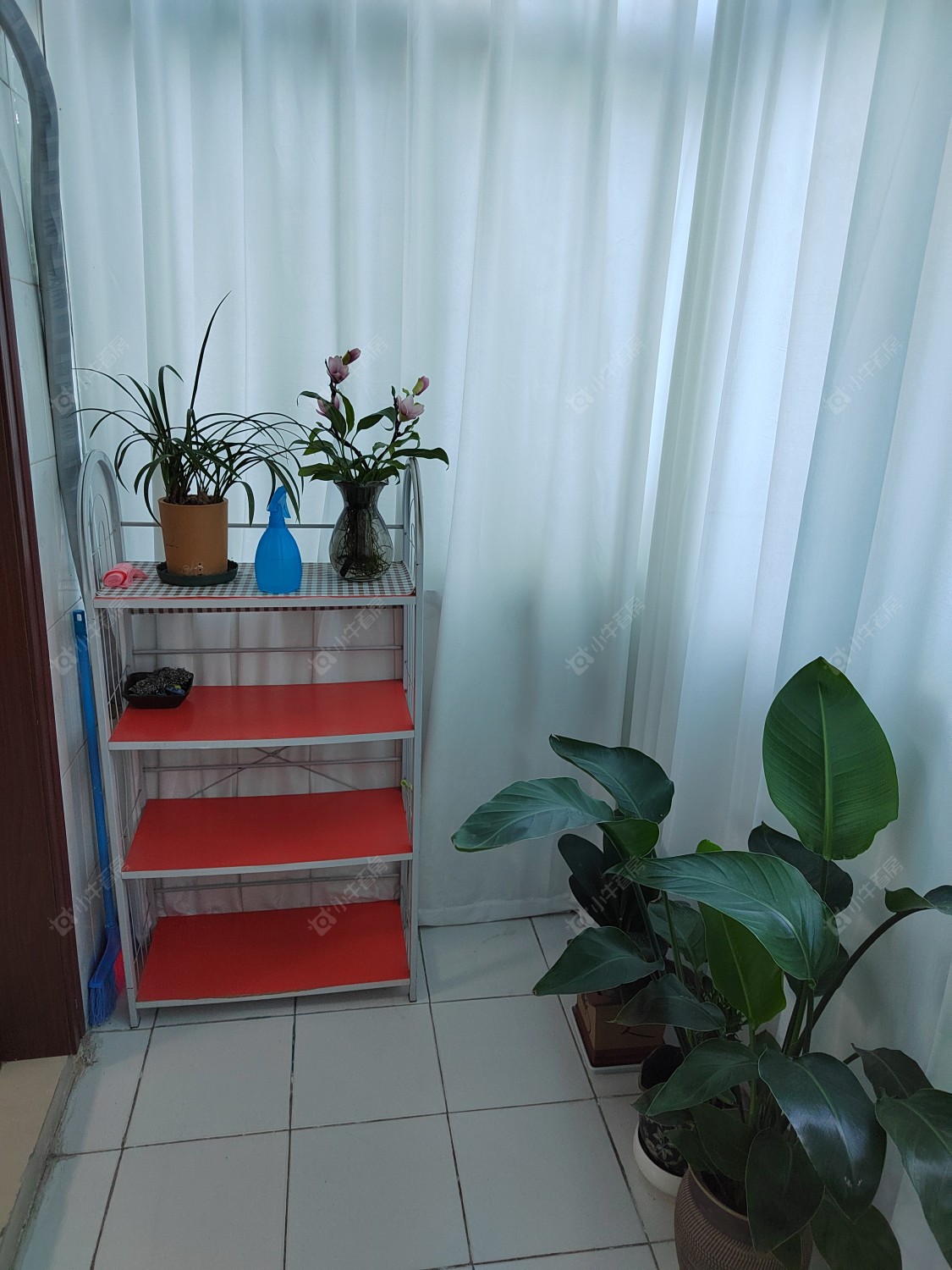 常州东头村(钟楼)在租房源_小牛看房