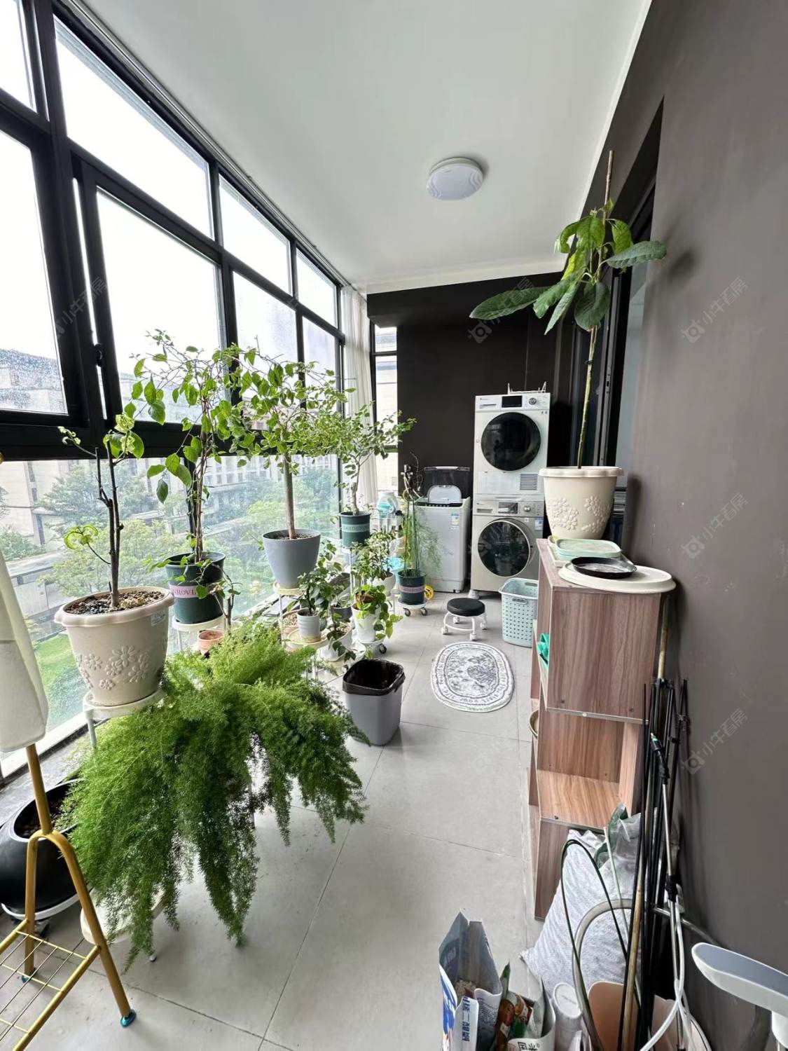 常州路劲雅居乐国仕九礼在租房源_小牛看房