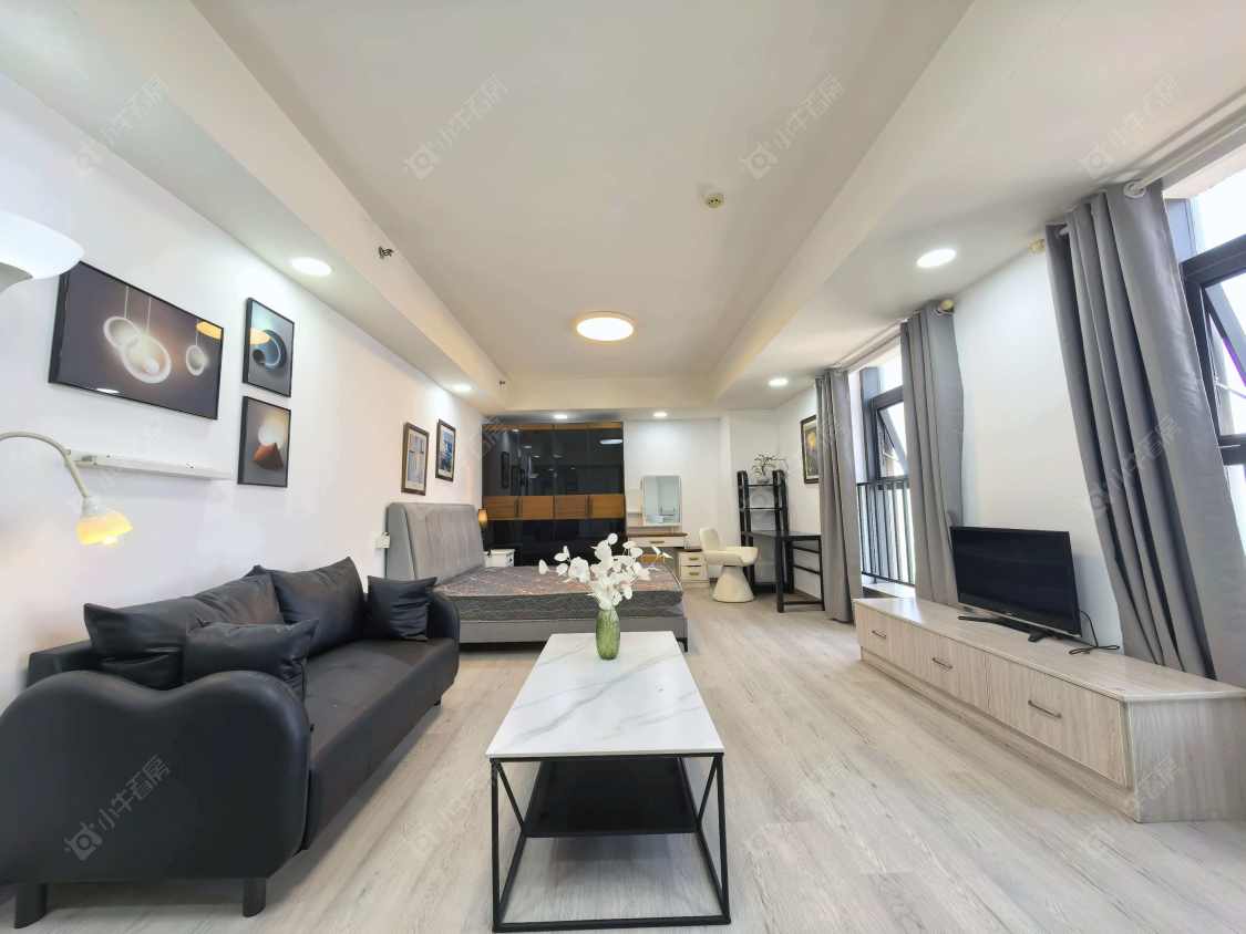 常州莱蒙双子星座公寓在租房源室内图_小牛看房