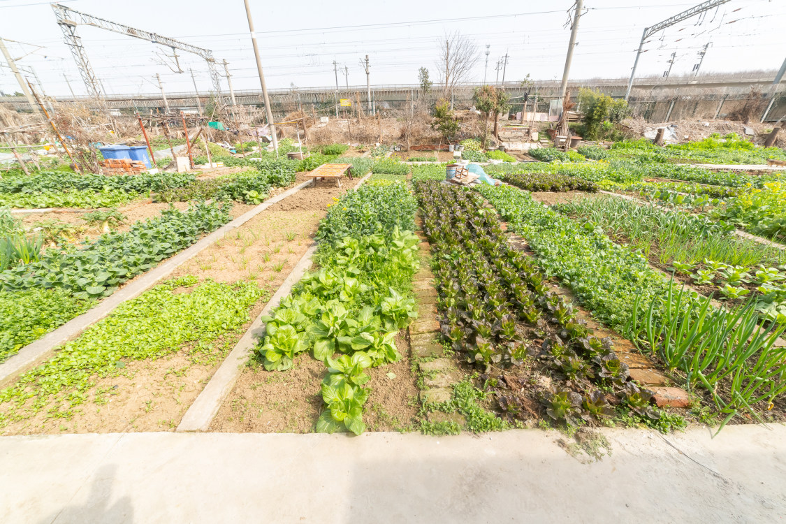 常州工农新村（奔牛）在售二手房源室内图_小牛看房
