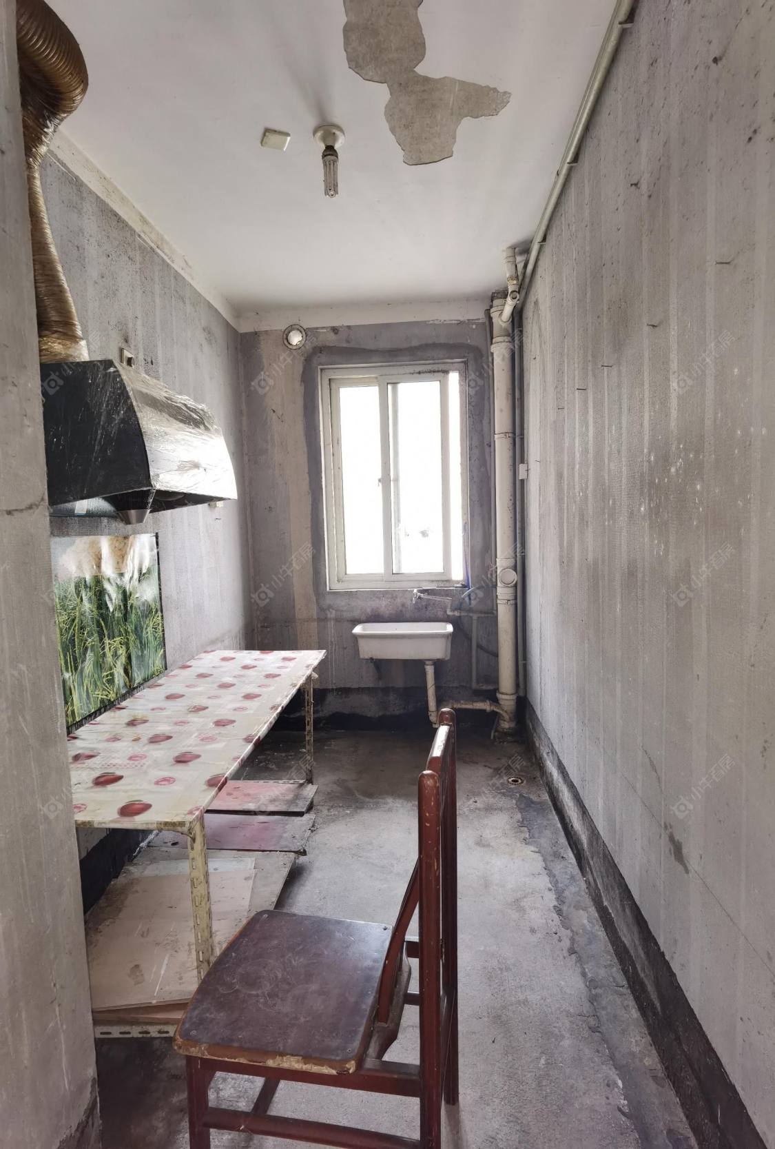 常州新景花苑二期在租房源户型图_小牛看房