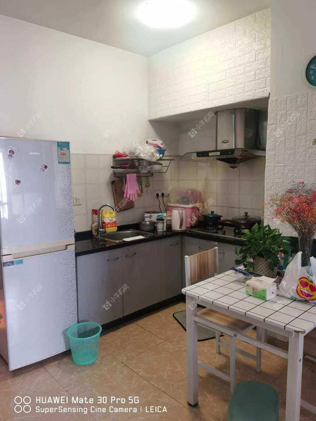 东方国际公寓房源 常州东方国际公寓在租房源_小牛看房