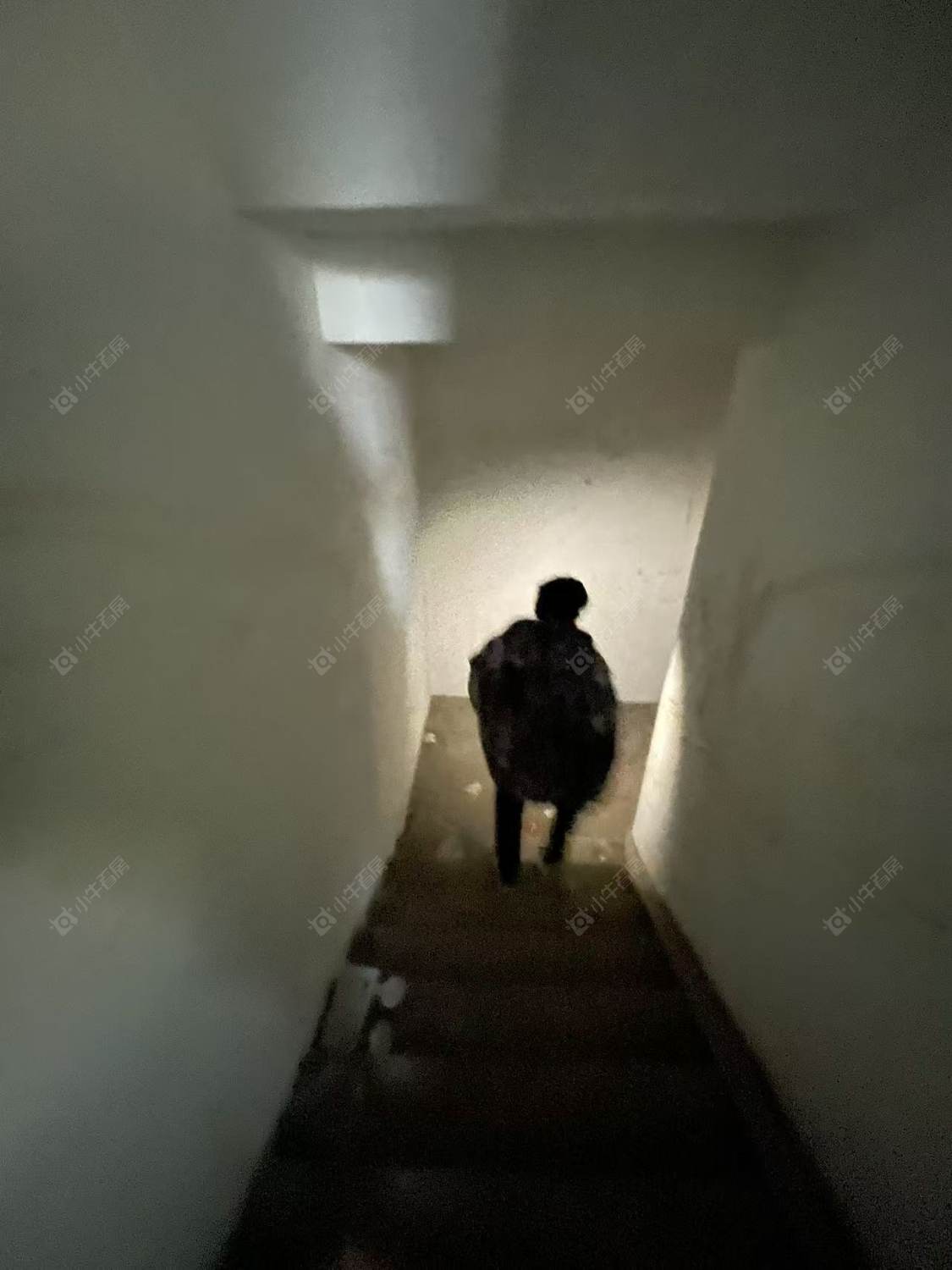 常州雅居乐凤凰台在租房源室内图_小牛看房